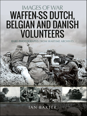 cover image of Waffen-SS Dutch, Belgian, and Danish Volunteers